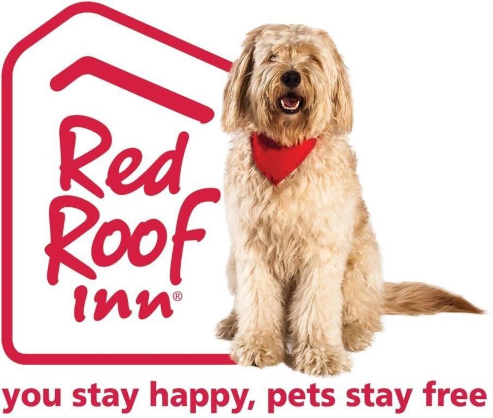 Red Roof Inn Plus+ Austin South Kültér fotó
